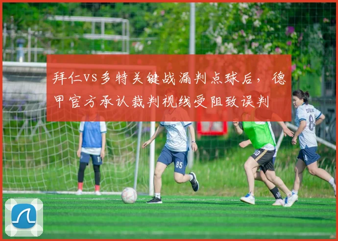 拜仁vs多特关键战漏判点球后,德甲官方承认裁判视线受阻致误判
